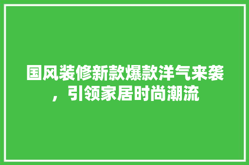 国风装修新款爆款洋气来袭，引领家居时尚潮流  第1张