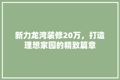 新力龙湾装修20万，打造理想家园的精致篇章