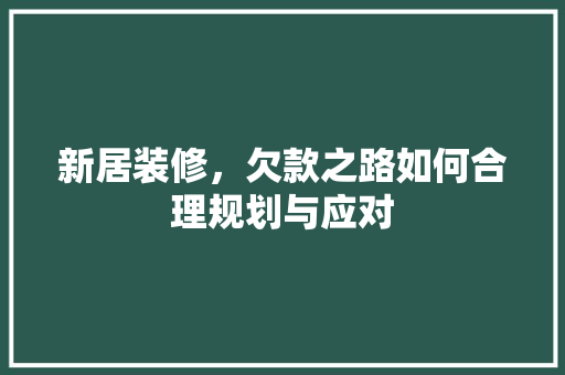 新居装修，欠款之路如何合理规划与应对  第1张