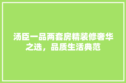 汤臣一品两套房精装修奢华之选，品质生活典范