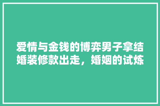 爱情与金钱的博弈男子拿结婚装修款出走，婚姻的试炼与反思
