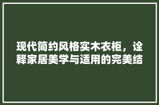 现代简约风格实木衣柜，诠释家居美学与适用的完美结合