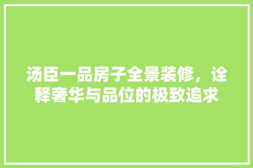 汤臣一品房子全景装修，诠释奢华与品位的极致追求