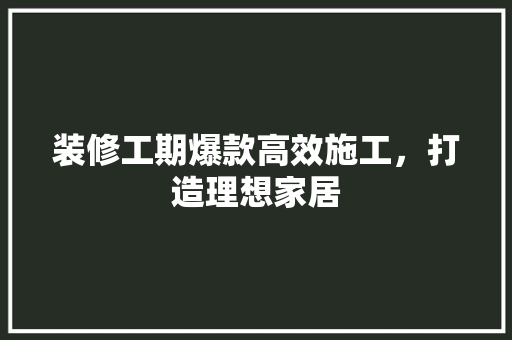 装修工期爆款高效施工，打造理想家居