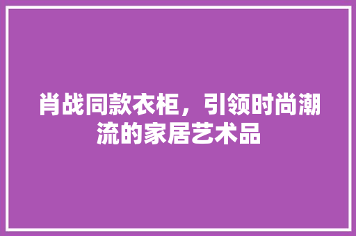 肖战同款衣柜，引领时尚潮流的家居艺术品