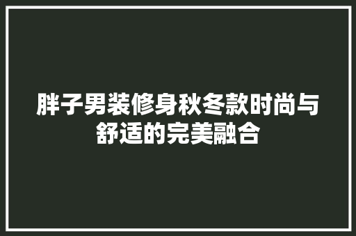 胖子男装修身秋冬款时尚与舒适的完美融合