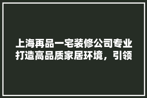 上海再品一宅装修公司专业打造高品质家居环境，引领装修行业新潮流