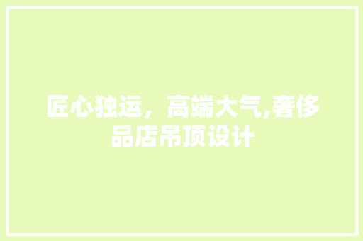 匠心独运，高端大气,奢侈品店吊顶设计