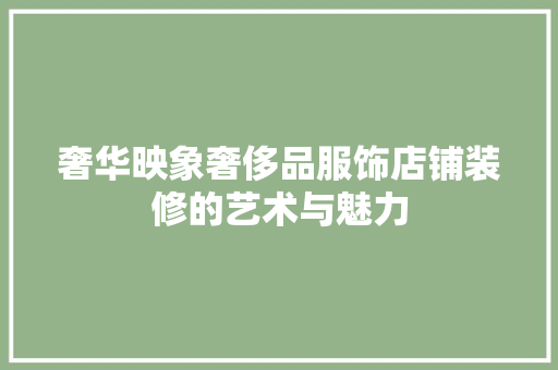 奢华映象奢侈品服饰店铺装修的艺术与魅力