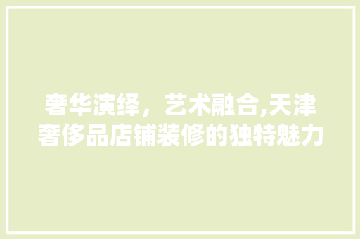 奢华演绎，艺术融合,天津奢侈品店铺装修的独特魅力