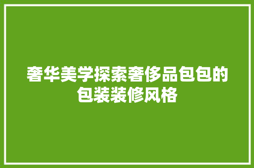 奢华美学探索奢侈品包包的包装装修风格