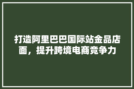 打造阿里巴巴国际站金品店面，提升跨境电商竞争力