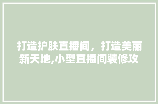 打造护肤直播间，打造美丽新天地,小型直播间装修攻略