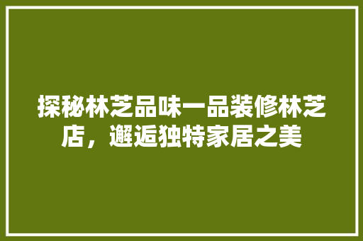 探秘林芝品味一品装修林芝店，邂逅独特家居之美