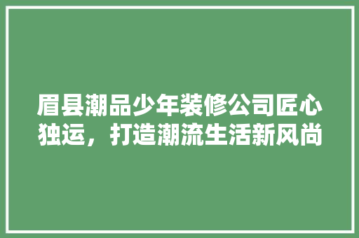 眉县潮品少年装修公司匠心独运，打造潮流生活新风尚