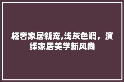 轻奢家居新宠,浅灰色调，演绎家居美学新风尚