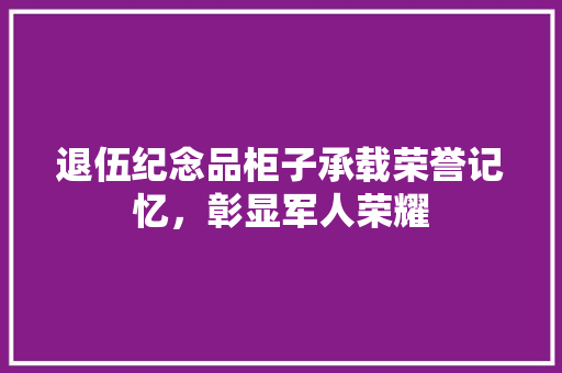 退伍纪念品柜子承载荣誉记忆，彰显军人荣耀