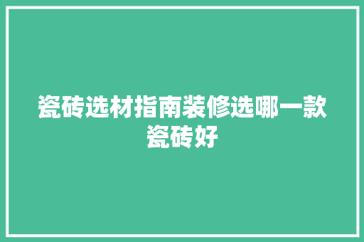 瓷砖选材指南装修选哪一款瓷砖好