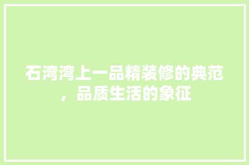 石湾湾上一品精装修的典范，品质生活的象征