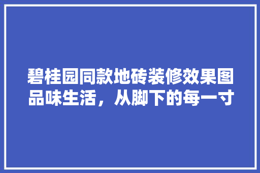 碧桂园同款地砖装修效果图品味生活，从脚下的每一寸开始