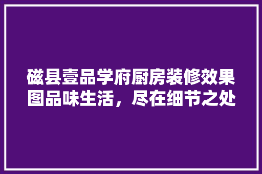 磁县壹品学府厨房装修效果图品味生活，尽在细节之处