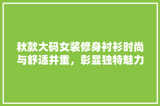 秋款大码女装修身衬衫时尚与舒适并重，彰显独特魅力