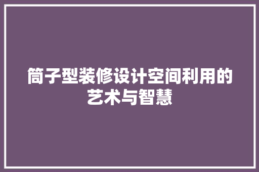 筒子型装修设计空间利用的艺术与智慧