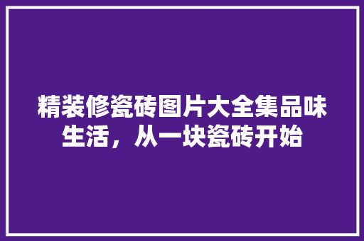 精装修瓷砖图片大全集品味生活，从一块瓷砖开始