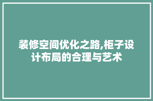 装修空间优化之路,柜子设计布局的合理与艺术