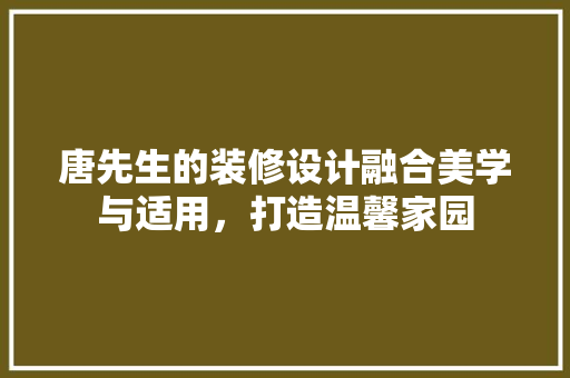 唐先生的装修设计融合美学与适用，打造温馨家园