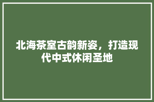北海茶室古韵新姿，打造现代中式休闲圣地  第1张