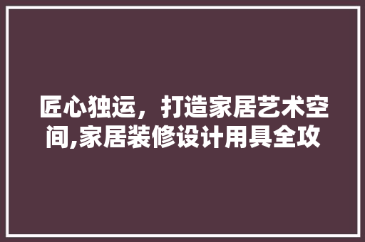 匠心独运，打造家居艺术空间,家居装修设计用具全攻略