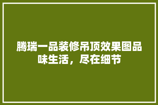 腾瑞一品装修吊顶效果图品味生活，尽在细节