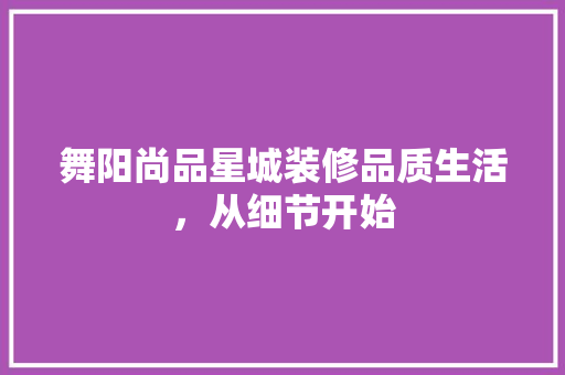 舞阳尚品星城装修品质生活，从细节开始