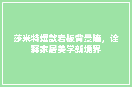 莎米特爆款岩板背景墙，诠释家居美学新境界