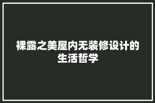 裸露之美屋内无装修设计的生活哲学