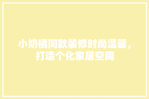 小奶橘同款装修时尚温馨，打造个化家居空间