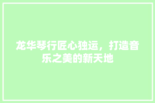 龙华琴行匠心独运，打造音乐之美的新天地