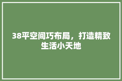 38平空间巧布局，打造精致生活小天地