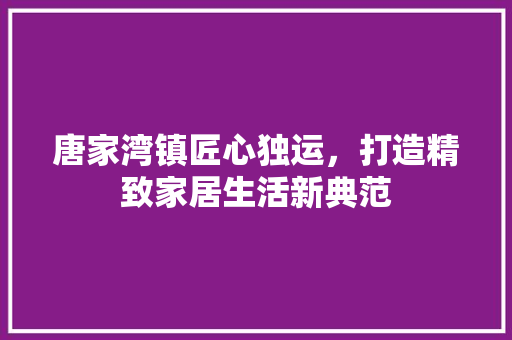 唐家湾镇匠心独运，打造精致家居生活新典范