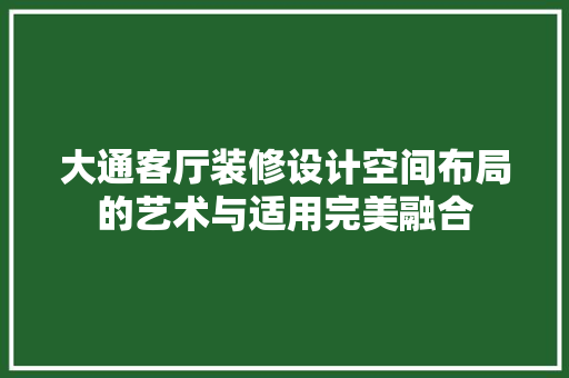 大通客厅装修设计空间布局的艺术与适用完美融合