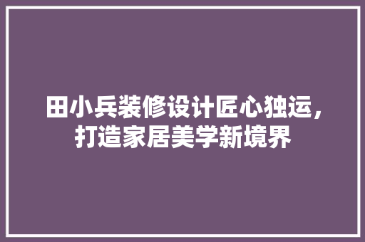 田小兵装修设计匠心独运，打造家居美学新境界  第1张