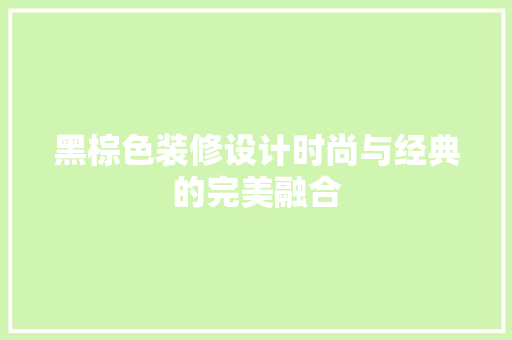 黑棕色装修设计时尚与经典的完美融合