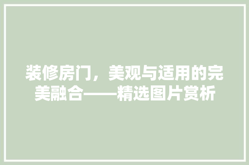 装修房门，美观与适用的完美融合——精选图片赏析