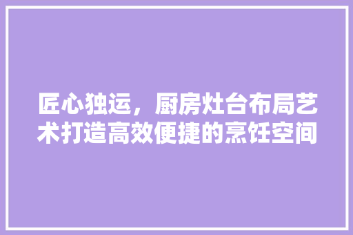 匠心独运，厨房灶台布局艺术打造高效便捷的烹饪空间