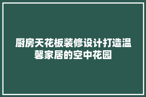 厨房天花板装修设计打造温馨家居的空中花园