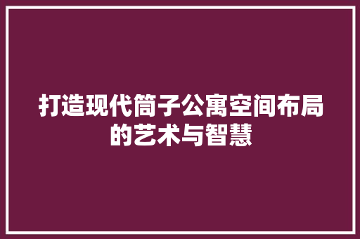 打造现代筒子公寓空间布局的艺术与智慧