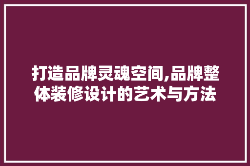 打造品牌灵魂空间,品牌整体装修设计的艺术与方法