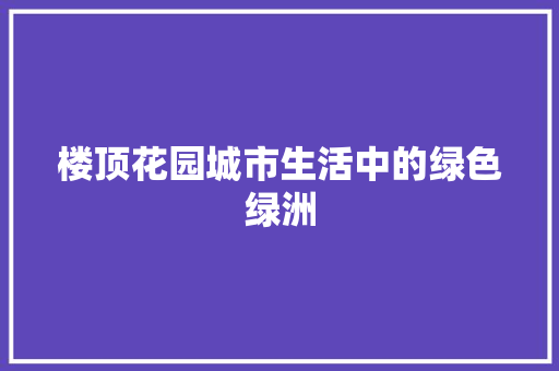 楼顶花园城市生活中的绿色绿洲