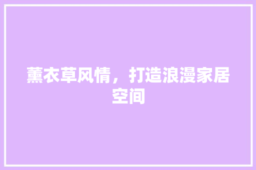 薰衣草风情，打造浪漫家居空间